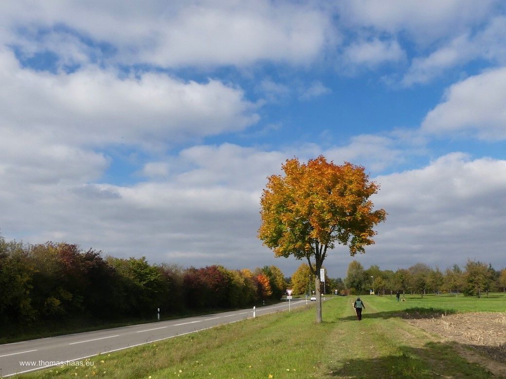 Die Herbstrunde in Richtung Vöhringen... Die Herbstrunde in Richtung Vöhringen...