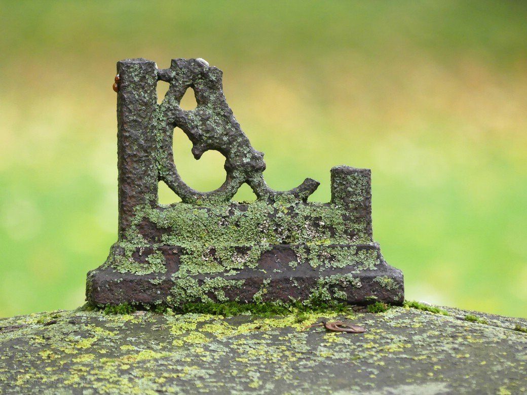 Alter Friedhof, Ulm, Vergänglichkeit... Alter Friedhof, Ulm, Vergänglichkeit...