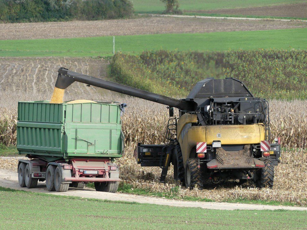 Der Hänger wird aus dem Korntank beladen... Der Hänger wird aus dem Korntank beladen...