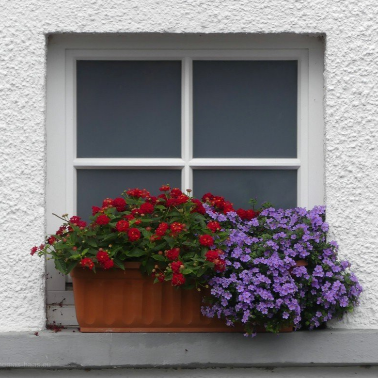 Fenster am Giebel