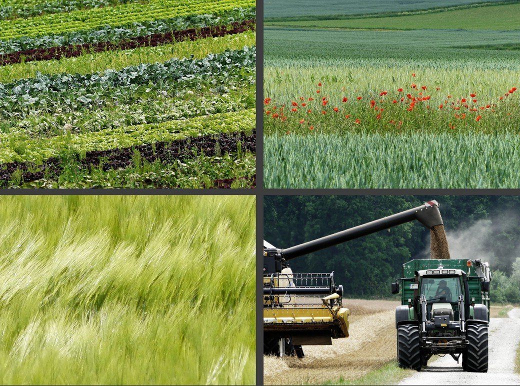 Ausstellungsmotive...