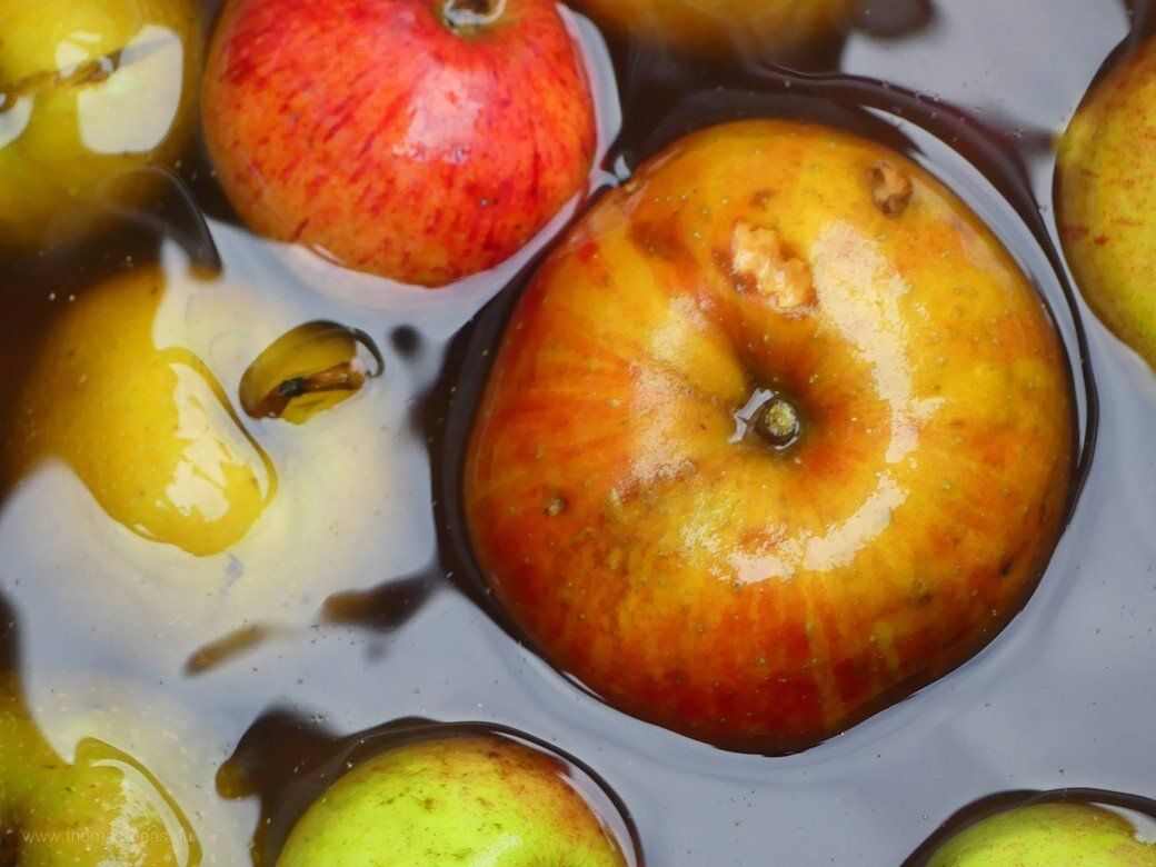 Die Geschichte vom Saftladen... Saft vom eigenen Obst, 2021 Die Geschichte vom Saftladen...