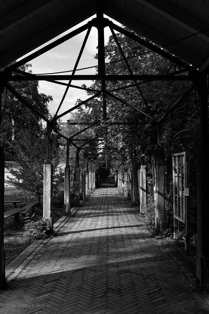 Beelitz Heilstätten und Baumwipfelpfad Zeit & Raum, 2022 - © by Yannick Musch Beelitz Heilstätten und Baumwipfelpfad Zeit & Raum, 2022 - © by Yannick Musch