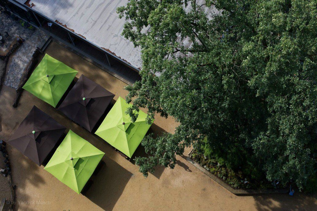 Beelitz Heilstätten und Baumwipfelpfad Zeit & Raum, 2022 - © by Yannick Musch Beelitz Heilstätten und Baumwipfelpfad Zeit & Raum, 2022 - © by Yannick Musch