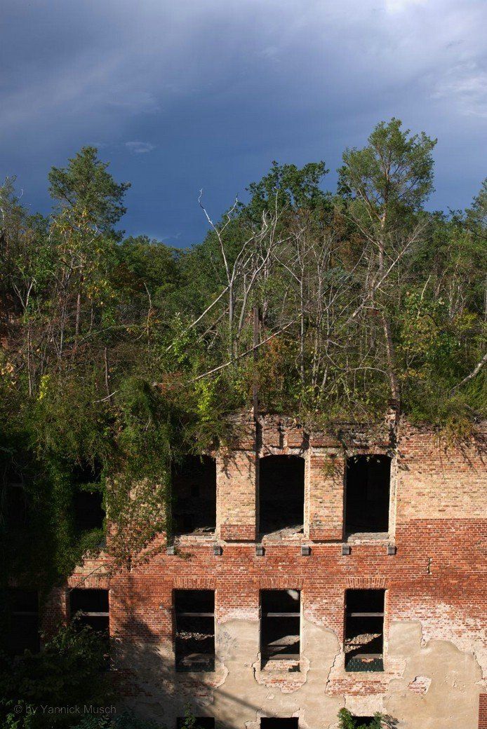 Beelitz Heilstätten und Baumwipfelpfad Zeit & Raum, 2022 - © by Yannick Musch Beelitz Heilstätten und Baumwipfelpfad Zeit & Raum, 2022 - © by Yannick Musch