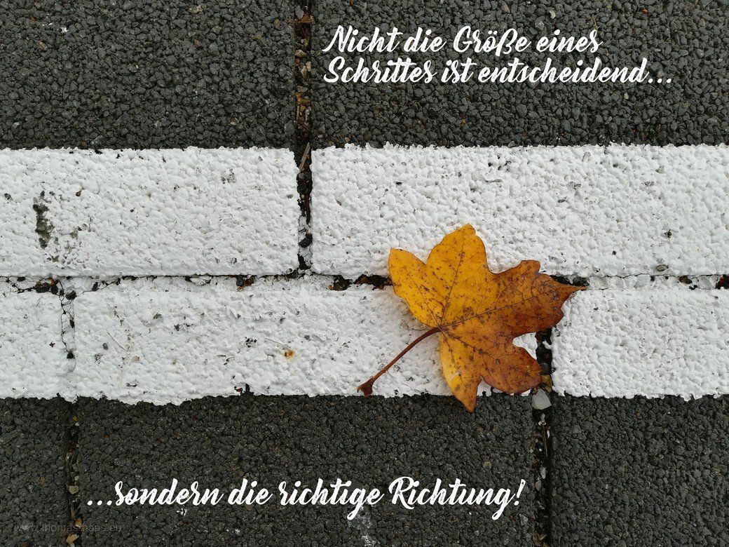 Parkplatzmarkierung mit Ahornblatt und Zitat, 2022 Motivationsbild für den Dezember 2022