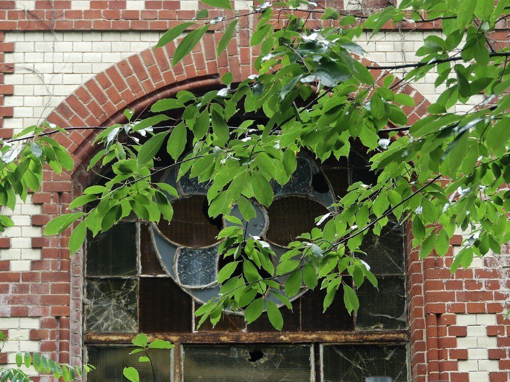 Beelitz Heilstätten und Baumwipfelpfad Zeit & Raum, 2022 Beelitz Heilstätten und Baumwipfelpfad Zeit & Raum, 2022