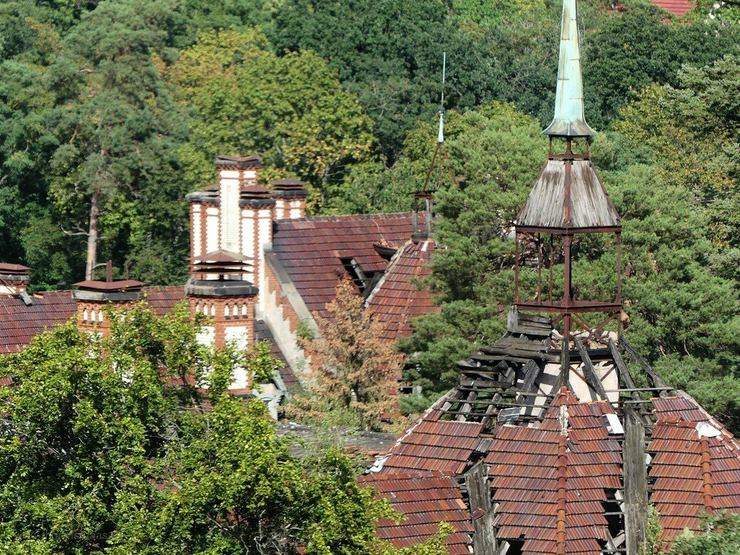 Beelitz, Heilstätten vom Baumkronenpfad, 2022 Beelitz, Heilstätten vom Baumkronenpfad, 2022