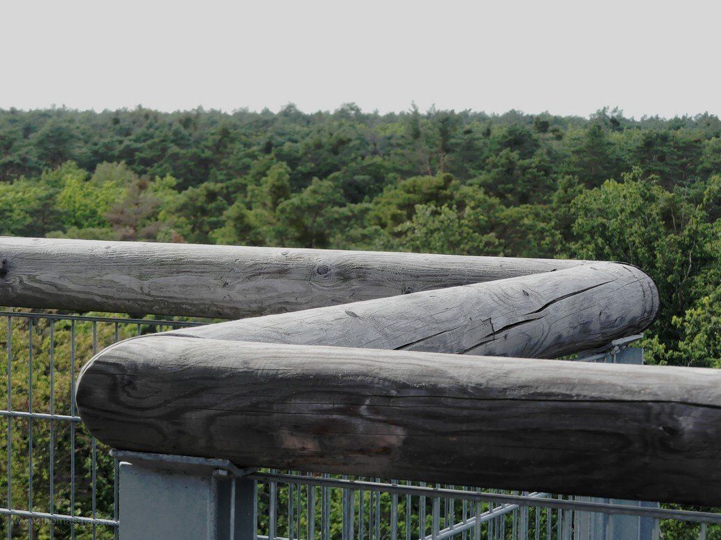 Baumkronenpfad Beelitz