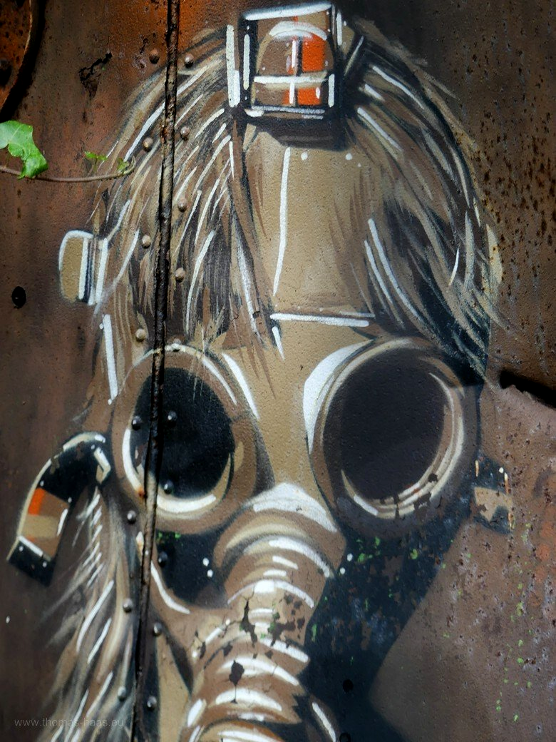 Beelitz Heilstätten und Baumwipfelpfad Zeit & Raum, 2022 Beelitz Heilstätten und Baumwipfelpfad Zeit & Raum, 2022