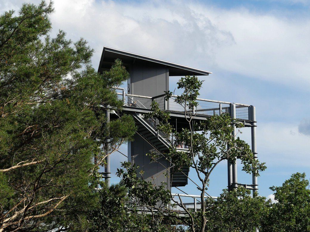 Baumkronenpfad Beelitz