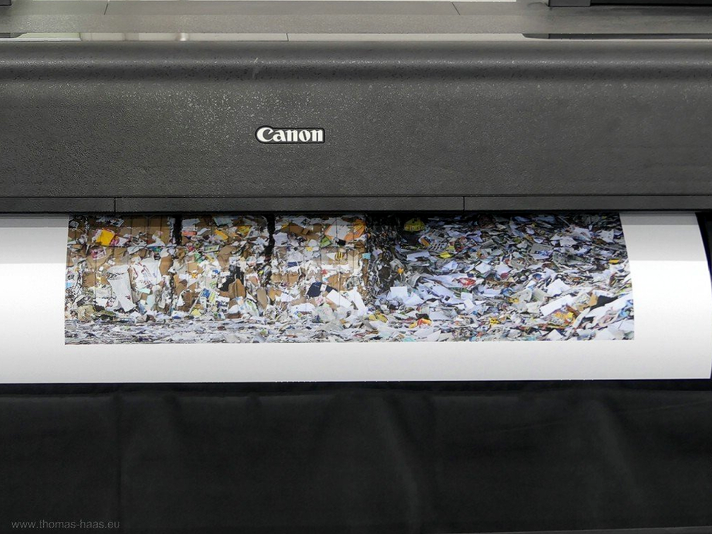 Hokkaido am Wegesrand, September 2022 Hokkaido am Wegesrand, September 2022