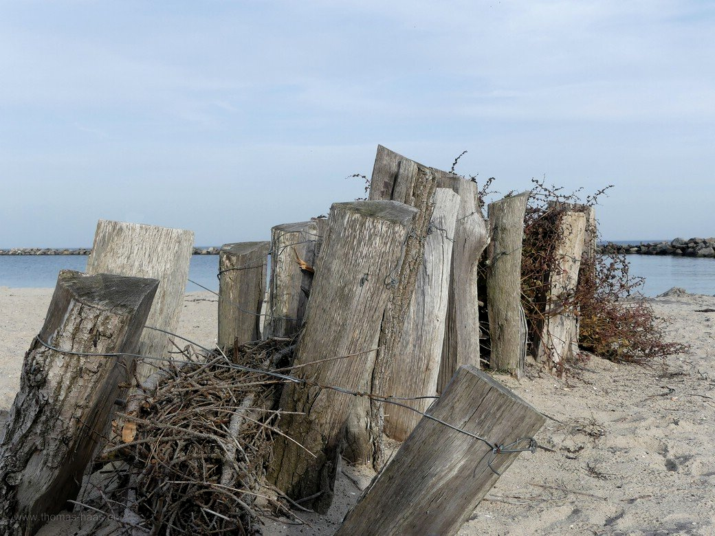 Sandfangzaun am Strand von Damp... Sandfangzaun am Strand von Damp...