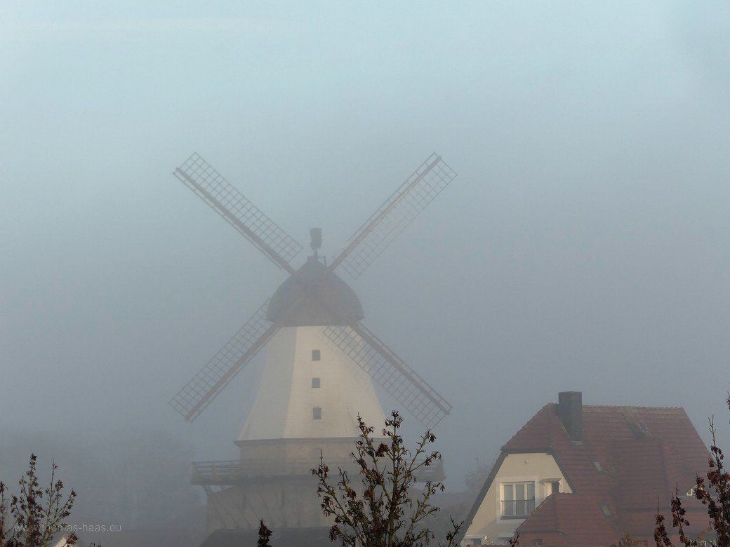 Frühnebel in Kappeln, Windmühle Amanda, 2022 Frühnebel in Kappeln, Windmühle Amanda, 2022