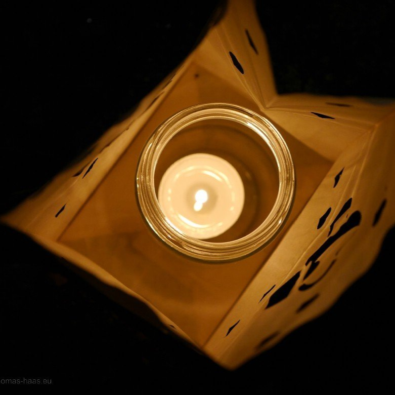 Beelitz-Heilstätten vom Baumwipfelpfad, 2022 Beelitz-Heilstätten vom Baumwipfelpfad, 2022