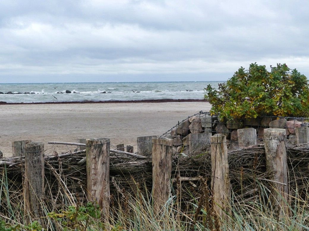 Wellen, Strand und Sandfangzaun, Damp 2023 Sandfangzaun in Damp, 2023