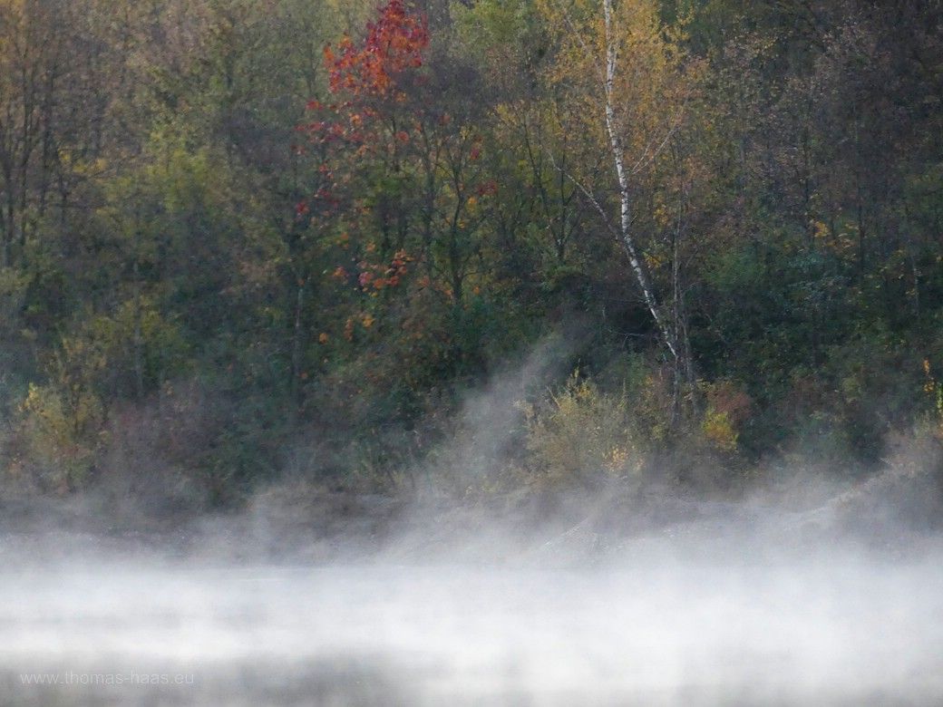 Herbst 2023 - Nebel über den Gewässern entlang der Iller... Herbstnebel über den Gewässern entlang der Iller...