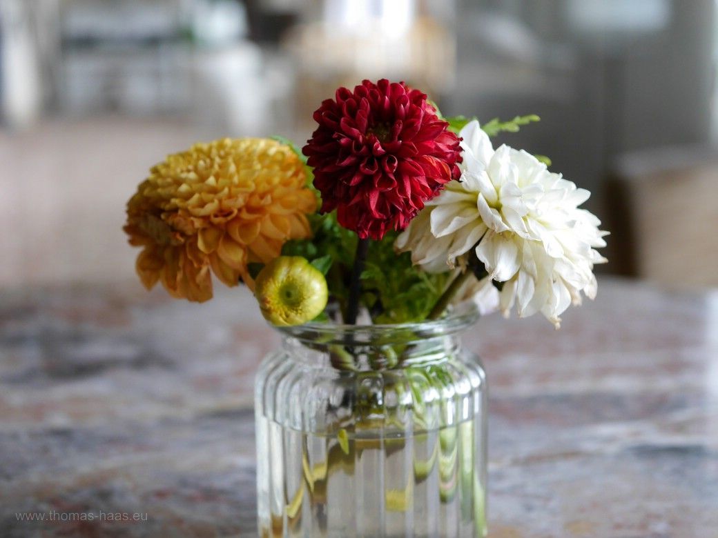 Blumendeko in der Waldlust, Fotoshooting, Lost Place, 2023