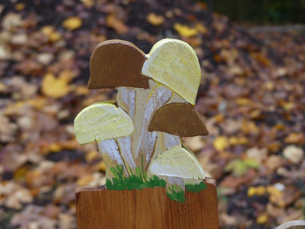 Freigestelltes Geäst, 2024 Herbstlicher Holzzaun mit Pilzen...