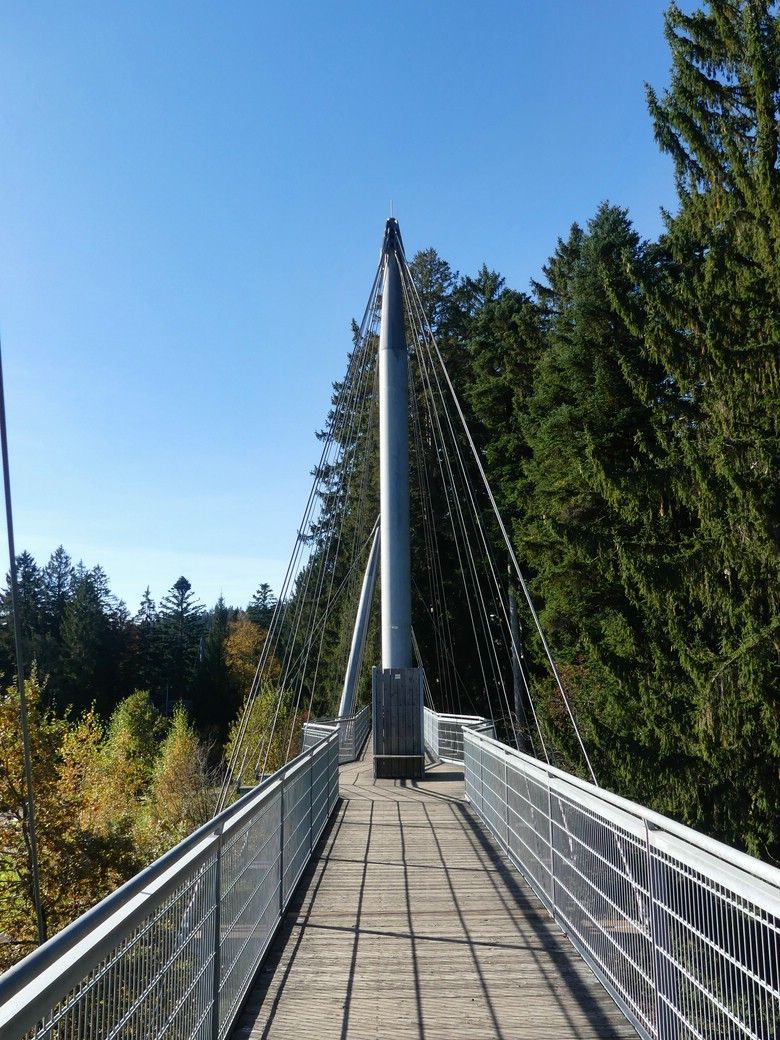 Skywalk Scheidegg - Lageplan Skywalk-Architektur!