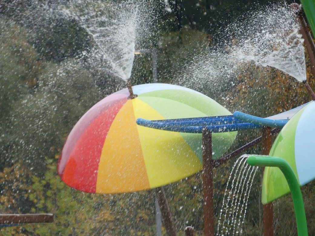 Freigestelltes Geäst, 2024 Wasserspielplatz