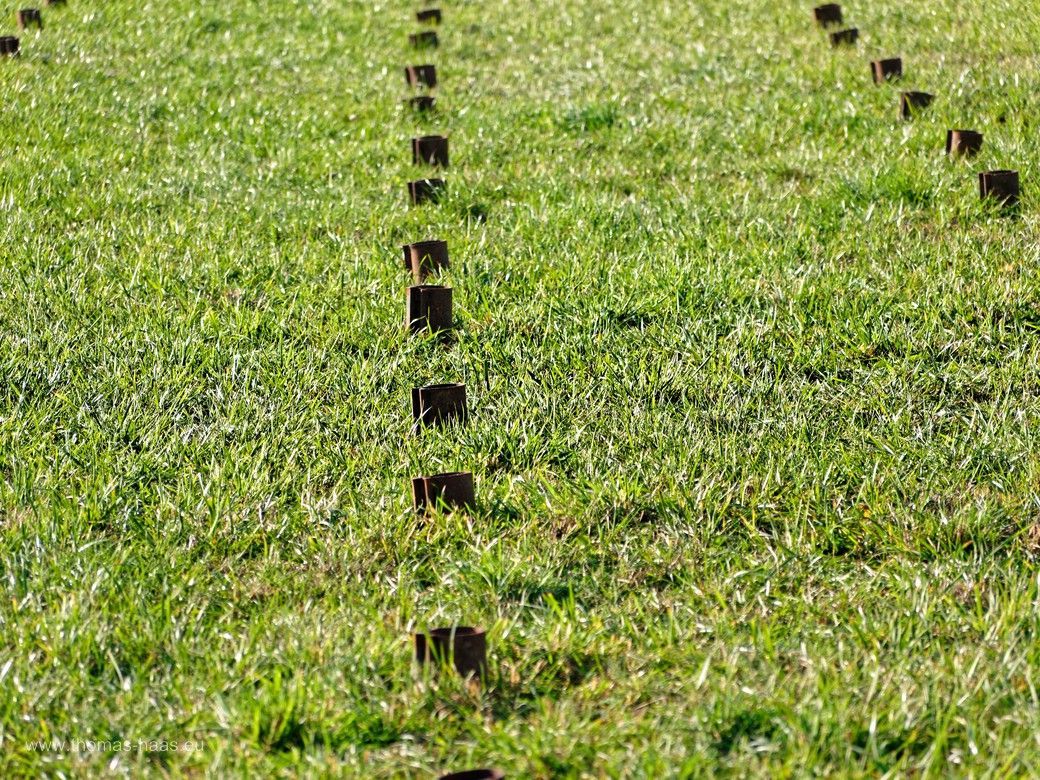 Einschlaghülsen zur Aufnahme der stehenden Bäume... Einschlaghülsen zur Aufnahme der stehenden Bäume...