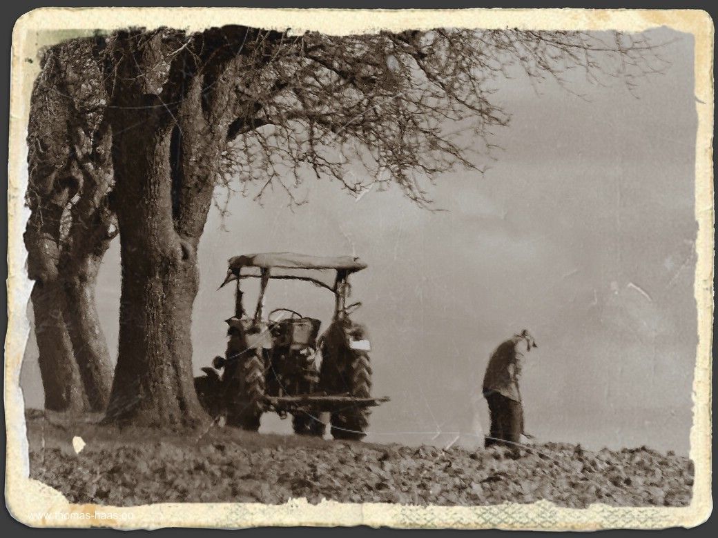 Feldarbeit im März 2022 Feldarbeit im März 2022
auf historisches Aussehen hin bearbeitete Aufnahme!