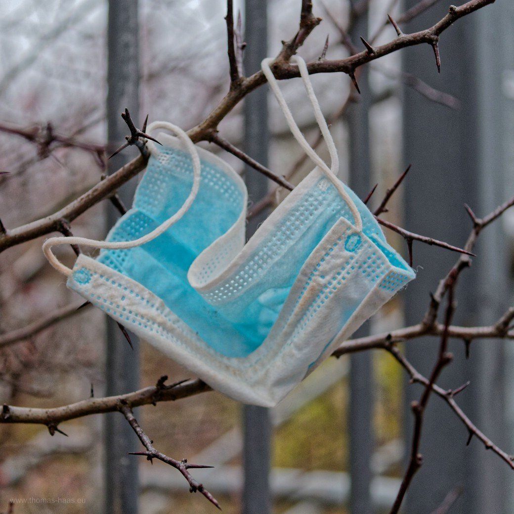 Baumschmuck 2020 Baumschmuck 2020