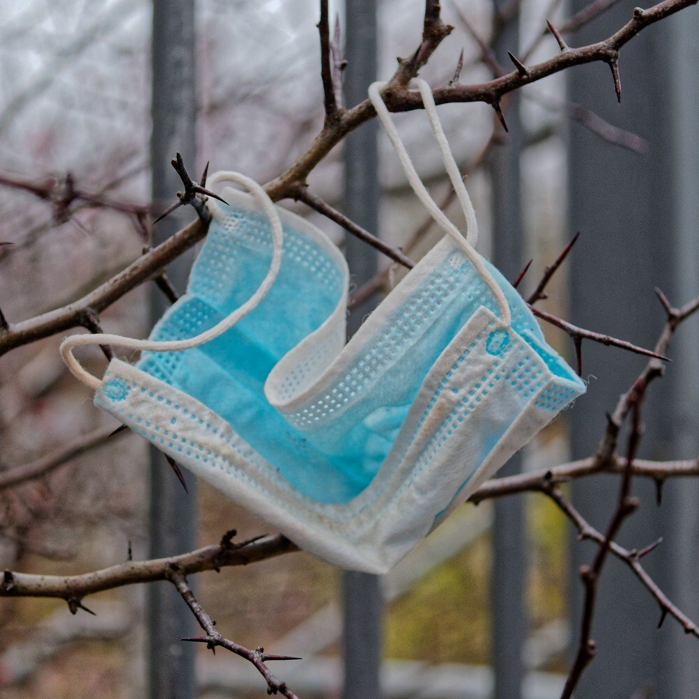 Maske im Busch, 2020 Der Originaltitel war