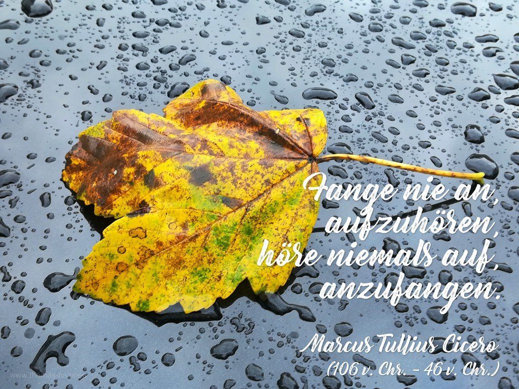Motivationsspruch für den Januar 2022 mit Cicero-Zitat Motivationsspruch für den Januar 2022 mit Cicero-Zitat