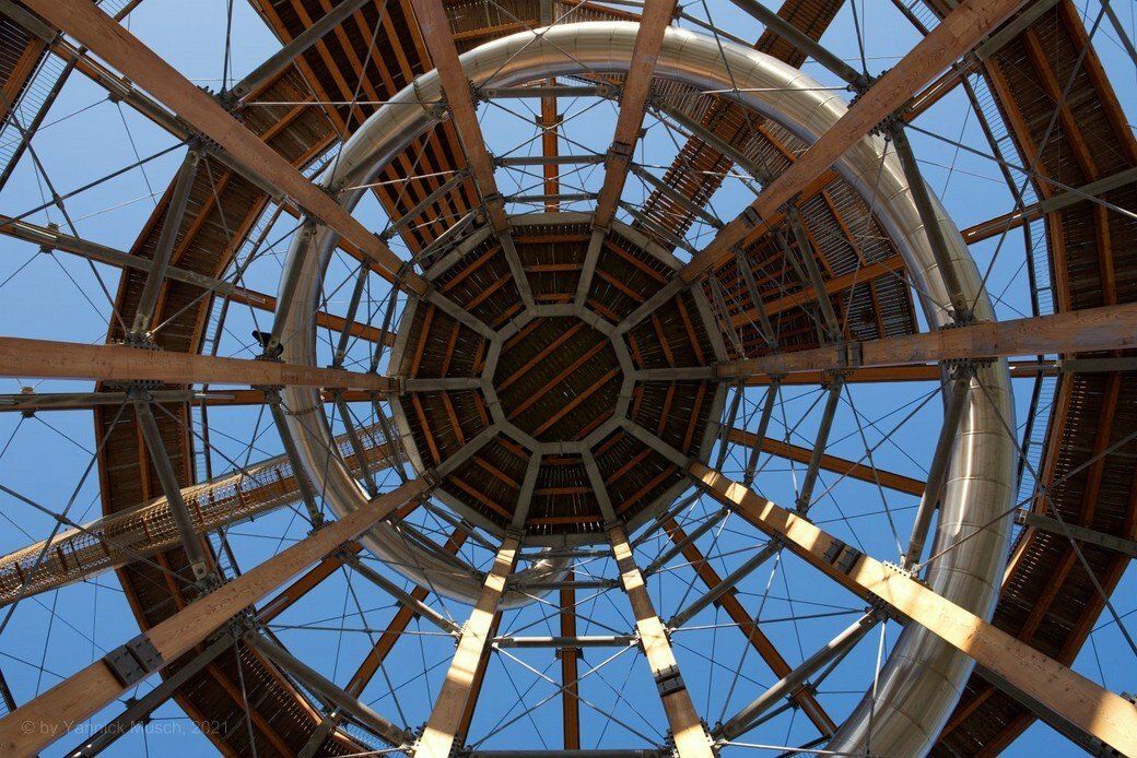 Der Blick nach oben, Erlebnisholzkugel 2021, Yannick Musch Der Blick nach oben, Erlebnisholzkugel 2021, Yannick Musch