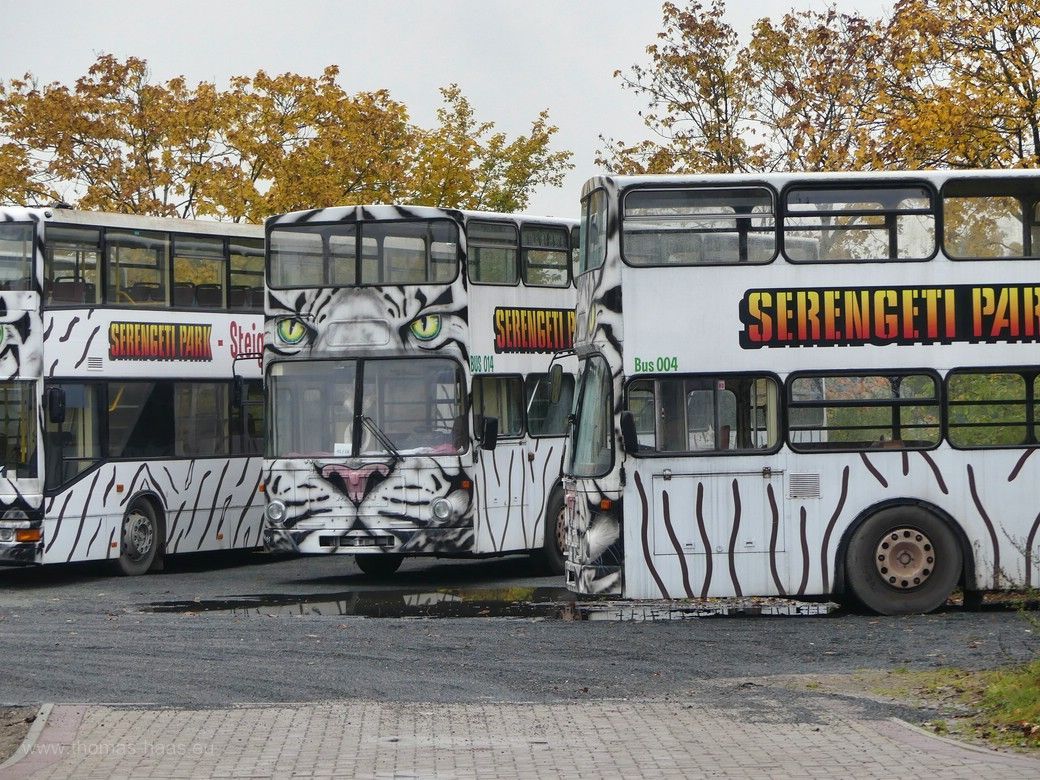 Die Bus-Flotte in Hodenhagen - der Park zählt pro Jahr über 700.000 Besucher!