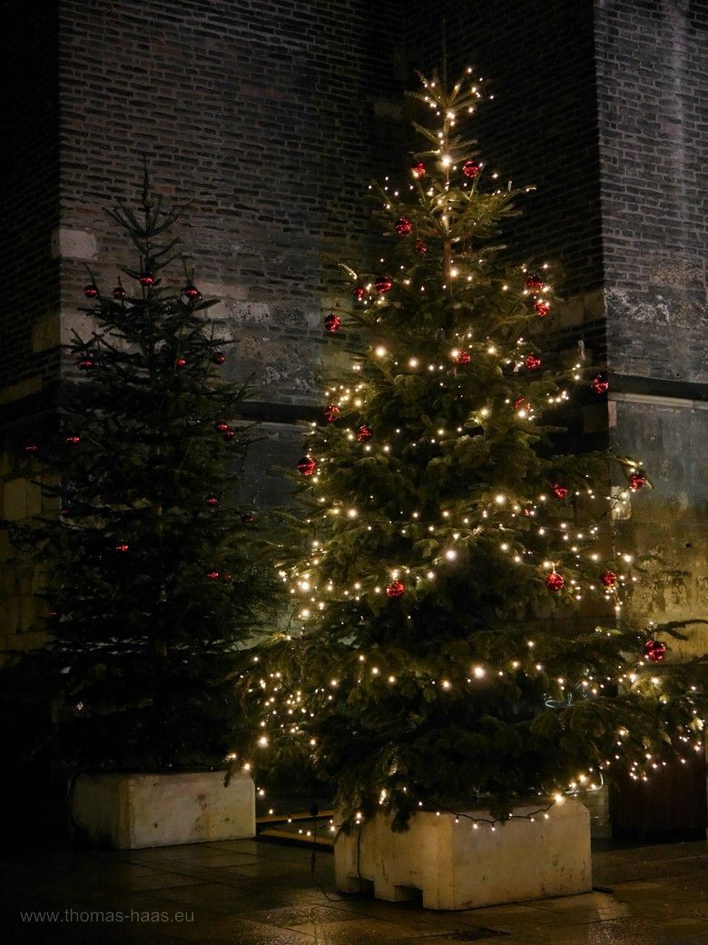 Weihnachtsbaum als Nachtaufnahme am Ulmer Münster, Januar 2023 Weihnachten und Jahreswechsel, Weihnachtsbaum am Ulmer Münster im Januar 2023