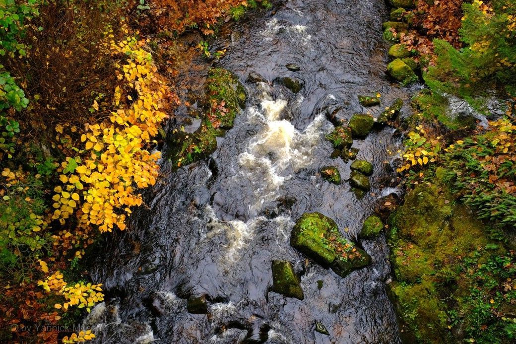 Herbst 2023 - Motive vom Burgbachwasserfall, © by Yannick Musch, 2023 Das Rahmenprogramm mit Yannick Musch zeigt den Burgbachwasserfall © by Yannick Musch, 2023