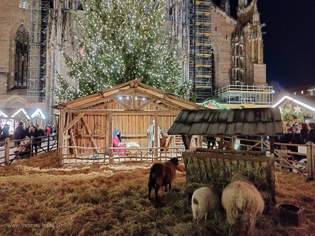 Die lebende Krippe auf dem Ulmer Münsterplatz. Die lebende Krippe auf dem Ulmer Münsterplatz.