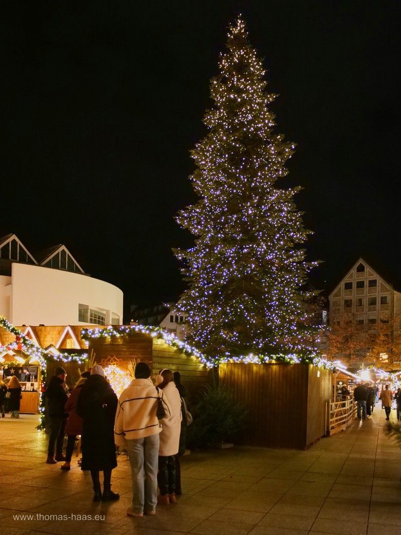 Der Weihnachtsbaum auf dem Ulmer Münsterplatz, 2024 Der Weihnachtsbaum auf dem Ulmer Münsterplatz, 2024