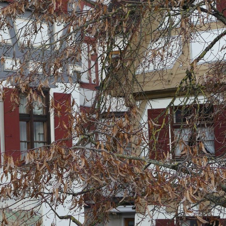 Architekturmotiv, Licht... Architekturmotiv, Licht...