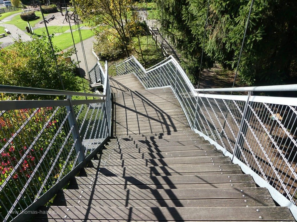 Die Baumwipfelhöhe muss erlaufen werden... Die Baumwipfelhöhe muss erlaufen werden...