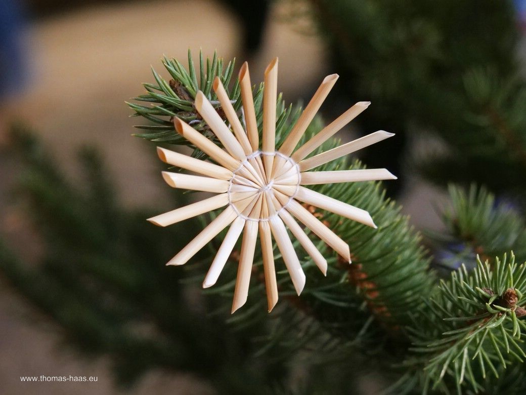 Ganz schlicht, der Strohstern... Ganz schlicht, der Strohstern...