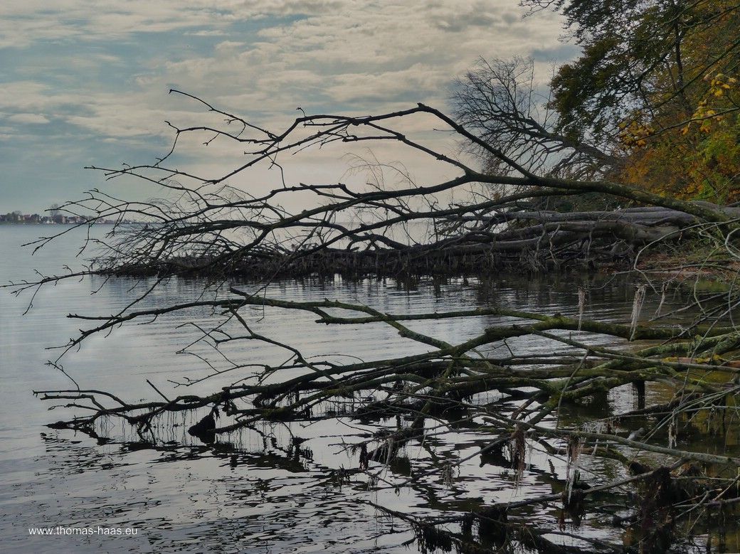 Blick über die Schlei... Blick über die Schlei...