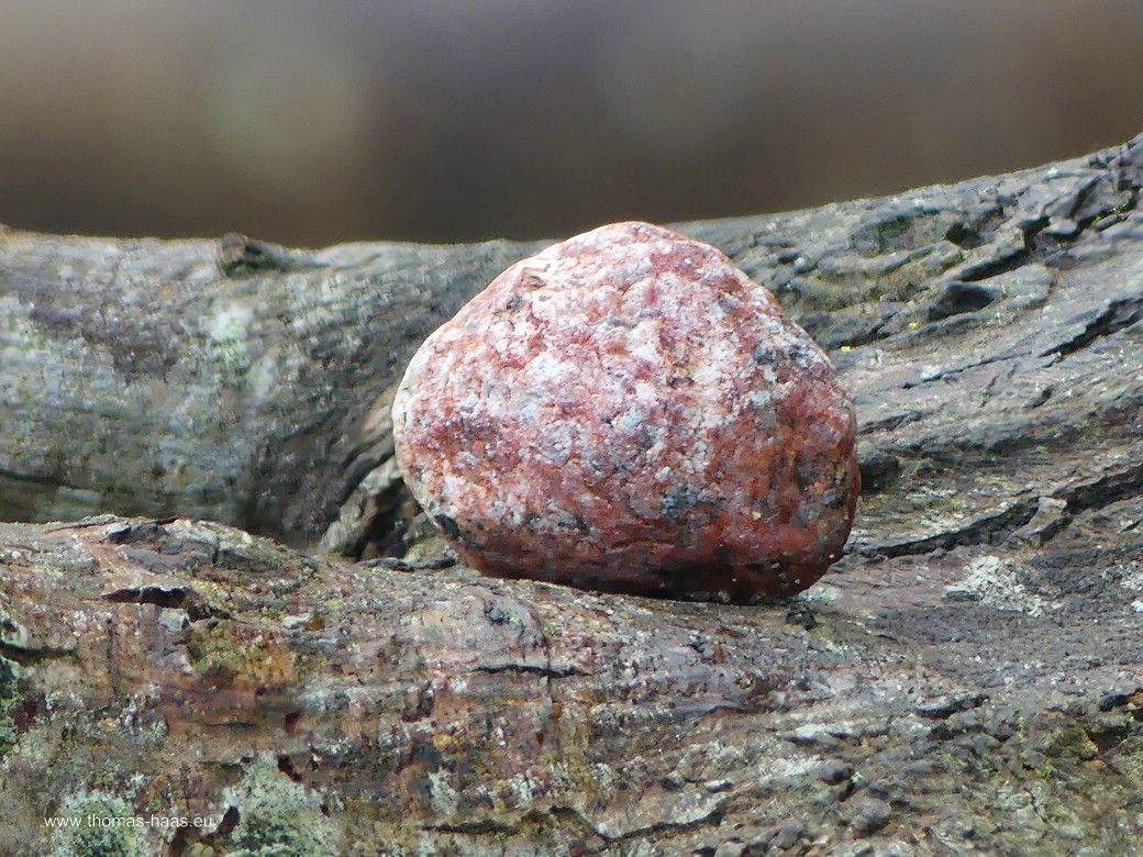 Land Art... Land Art...