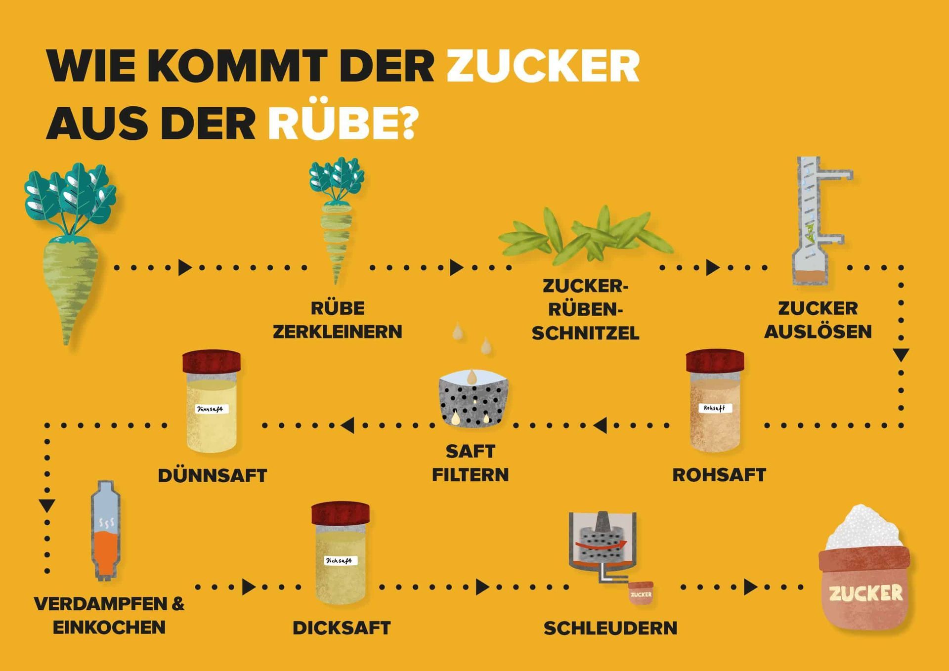 Grafik Zuckerproduktion der Verbände der Zuckerindustrie Grafik Zuckerproduktion der Verbände der Zuckerindustrie