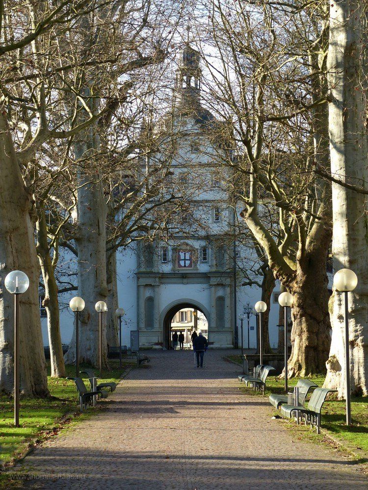 Allee im Innenhof des Residenzschlosses Bad Mergentheim, 2020 Durch die prächtige Allee im Innenhof in Richtung Stadt...