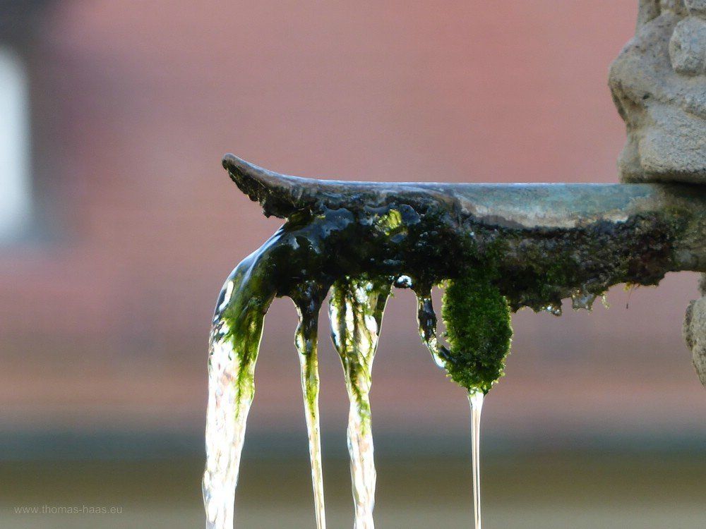 Vermooster Brunnen, Januar 2020 Brunnen in Bad Mergentheim, Januar 2020