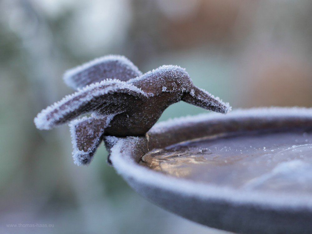 Vogeltränke Eisvogel im Frost Ein Eisvogel, hier als Skulptur im Garten...