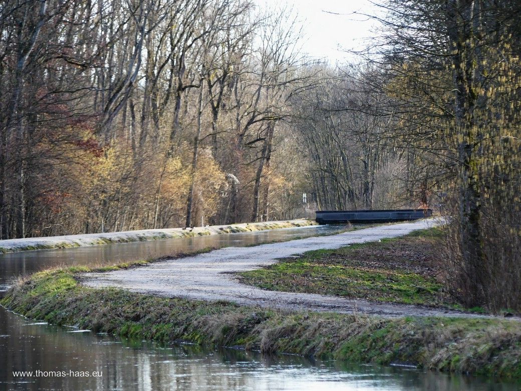 Herbstfarben im Februar! Der Kanal kommt aus südlicher Richtung am Kraftwerk an, die Brücke ist schon Bellenberg. Iller-Kanal, 2024
