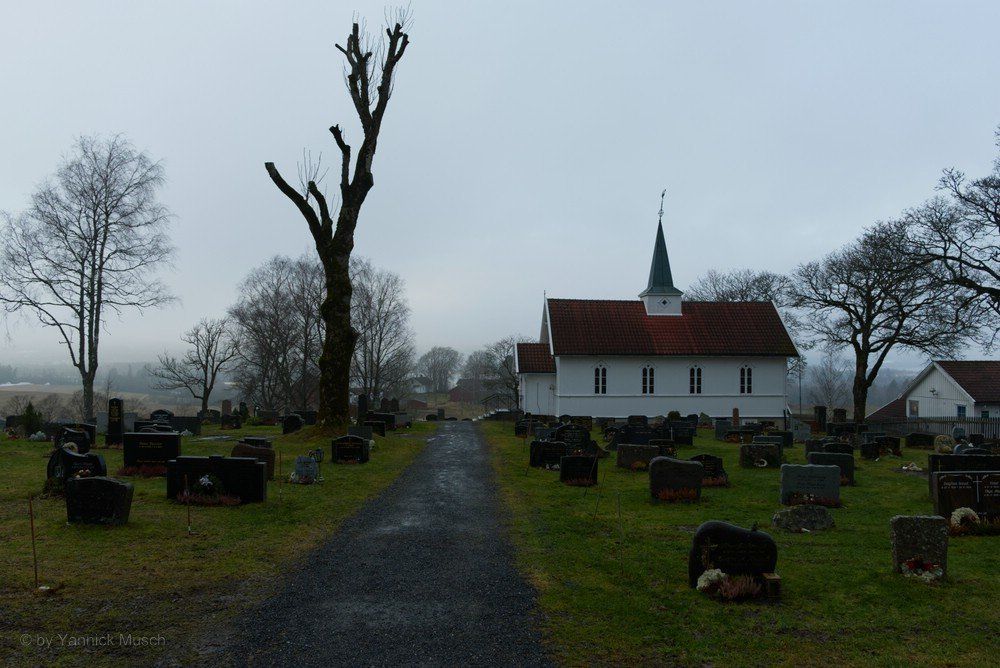 Toter Baum auf totem Boden... Friedhof in Norwegen