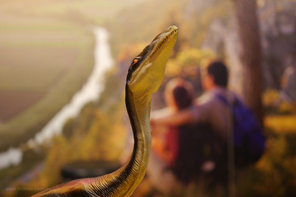 Werbung für Wandertouren, CMT, 2020 Wandern mit Sauriern? Plakat und Ausstellungsstück, CMT, 2020