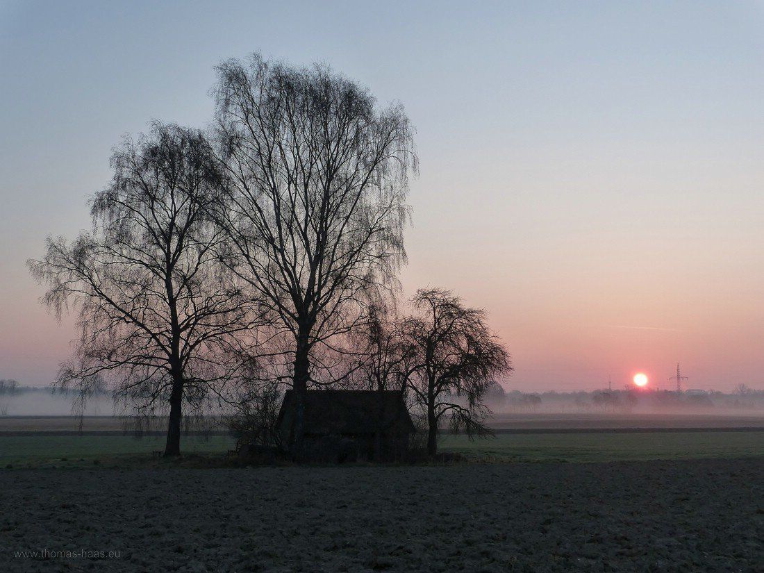 Sonnenaufgang, Frühjahr 2020 im Frühdunst Sonnenaufgang im Illertal, Frühjahr 2020