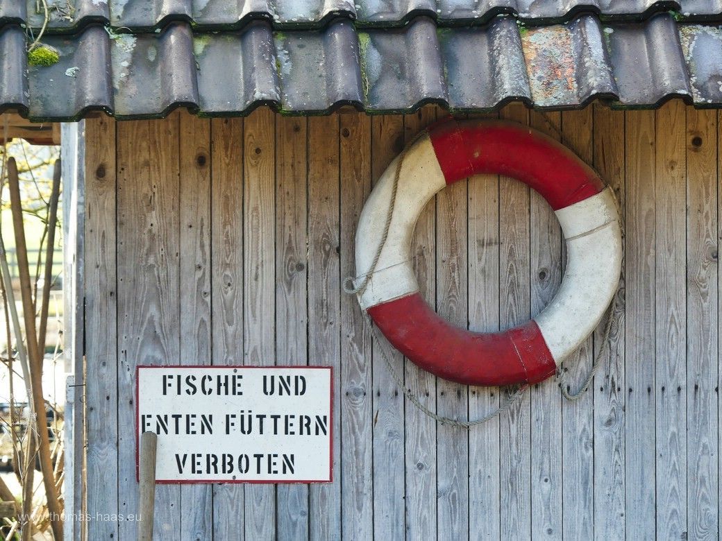 Rettungsring am kleinen Teich im Schaugarten, 2024 Rettungsring am kleinen Teich...